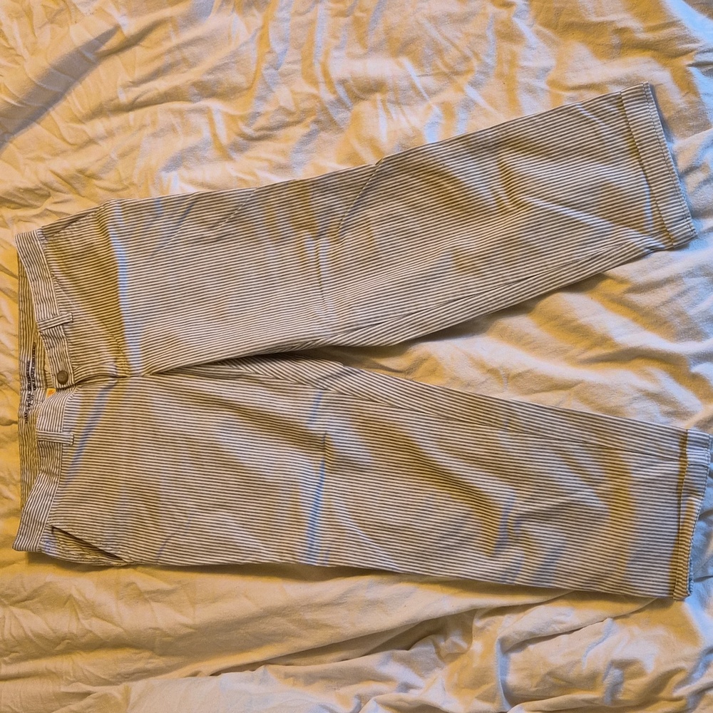 GAP Womens Blue And White Striped Pantd